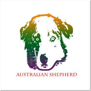 The australian shepherd head is Violet, Green, Orange Posters and Art